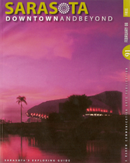 Downtown and Beyond 2008 Magazine Cover